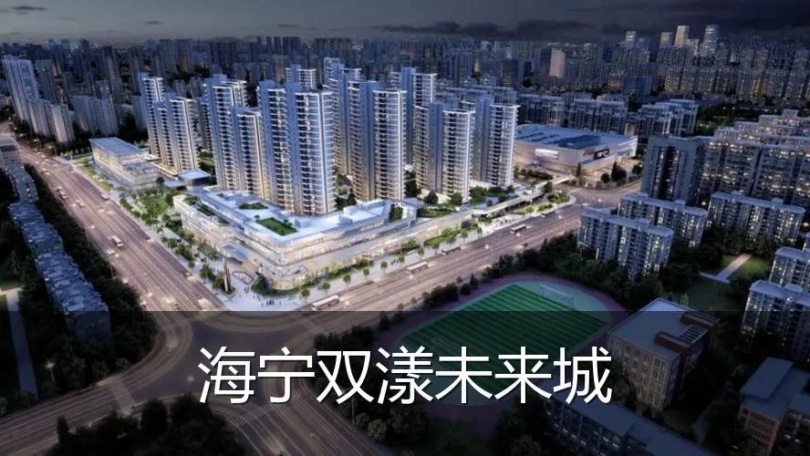海宁双漾未来城